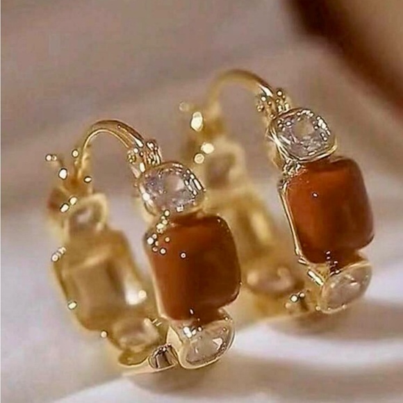 Jewelry - Elegant Gold and Brown Hoop Earrings